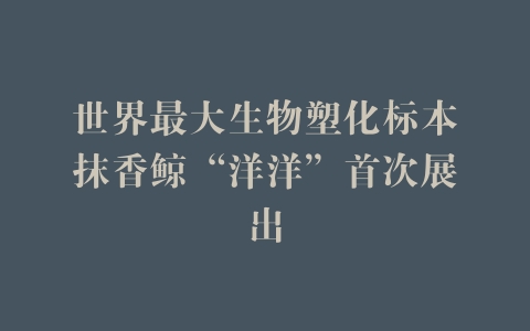 世界最大生物塑化标本抹香鲸“洋洋”首次展出