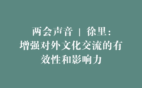 两会声音 | 徐里：增强对外文化交流的有效性和影响力