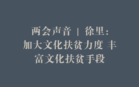 两会声音 | 徐里：加大文化扶贫力度 丰富文化扶贫手段