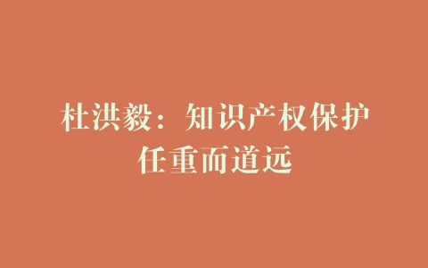 杜洪毅：知识产权保护任重而道远