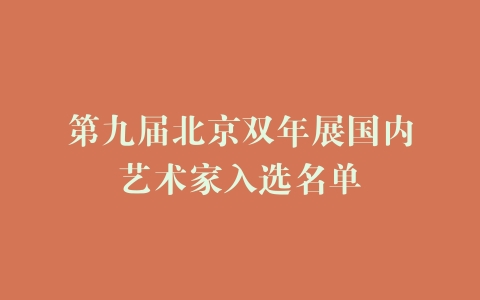 第九届北京双年展国内艺术家入选名单
