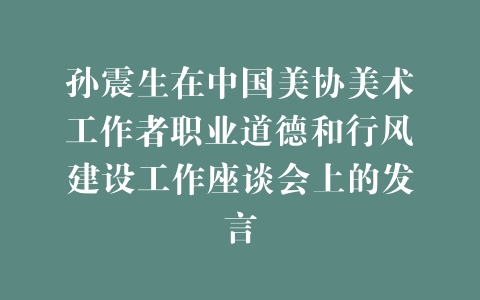 孙震生在中国美协美术工作者职业道德和行风建设工作座谈会上的发言