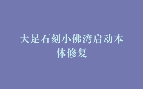 大足石刻小佛湾启动本体修复