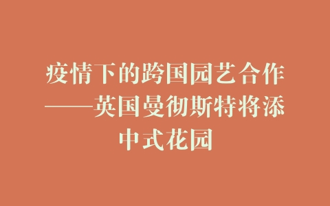 疫情下的跨国园艺合作——英国曼彻斯特将添中式花园