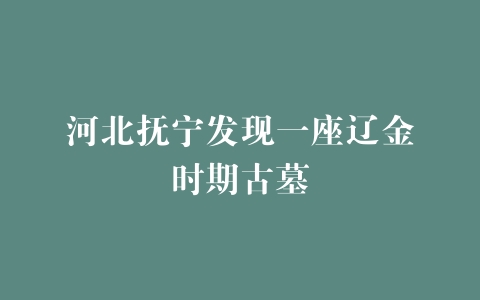 河北抚宁发现一座辽金时期古墓