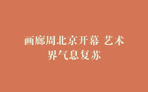画廊周北京开幕 艺术界气息复苏