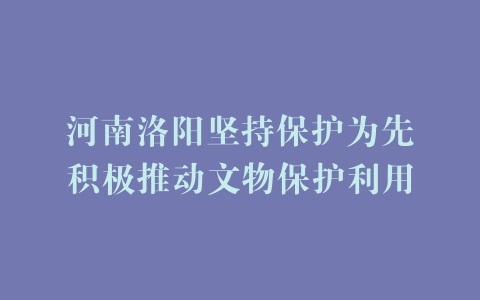 河南洛阳坚持保护为先积极推动文物保护利用