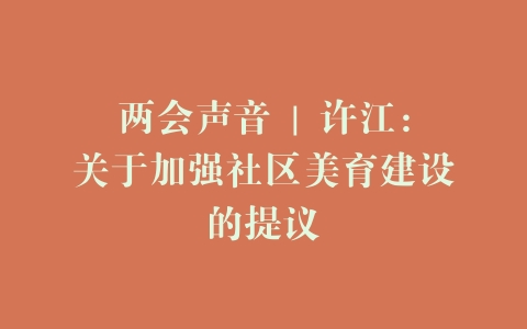 两会声音 | 许江：关于加强社区美育建设的提议