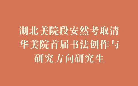湖北美院段安然考取清华美院首届书法创作与研究方向研究生