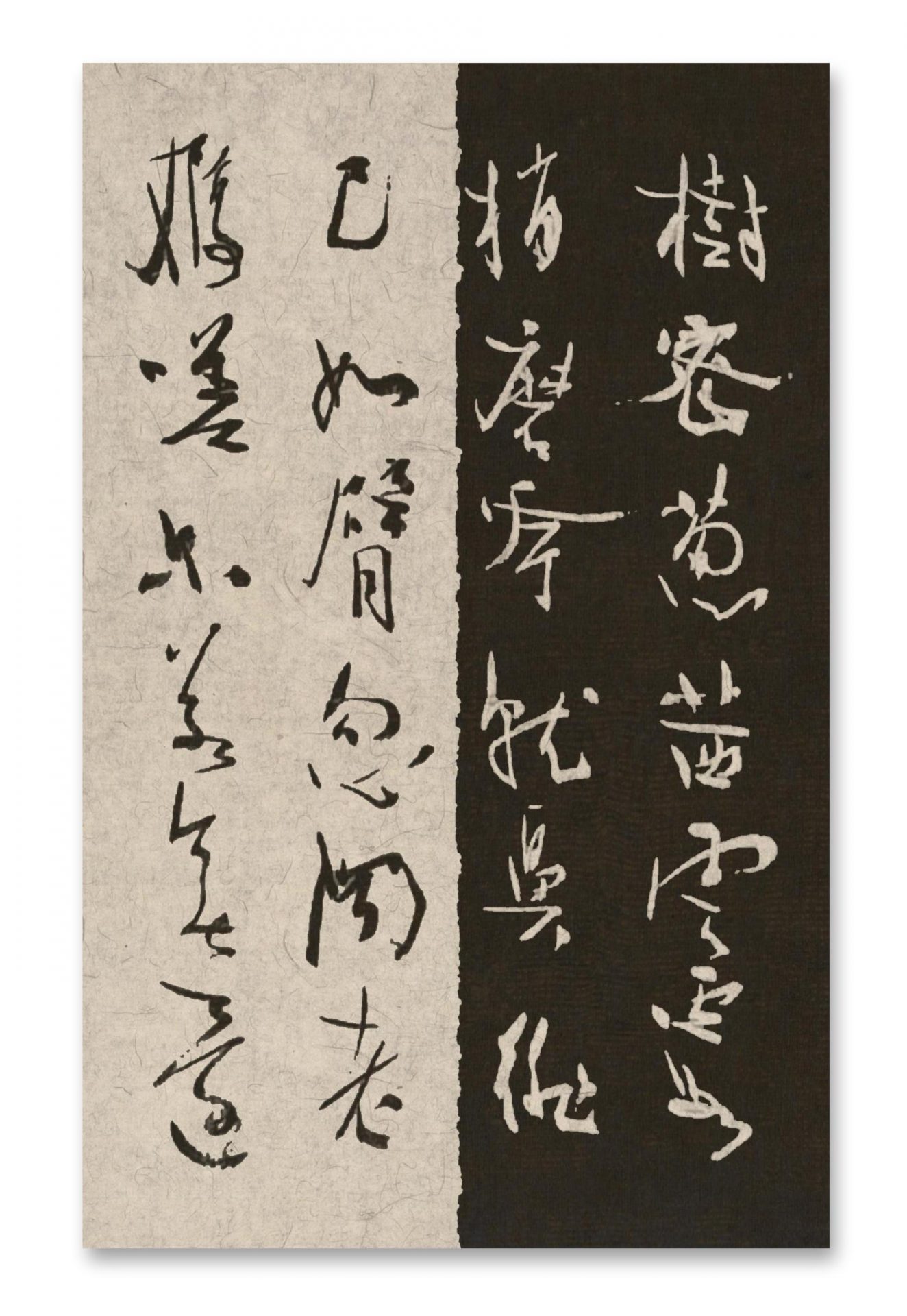 62f020eefd8785638878a002be19e299 62f020eefd8785638878a002be19e299